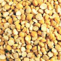 Read Buy Organics Online Reviews